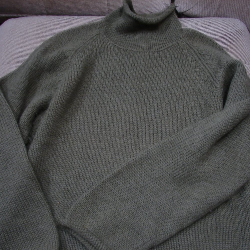 Men's J Crew Wool Sweater  Green Size L Rolled Neck